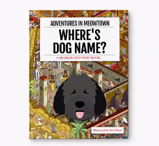 Personalised Spanish Water Dog Book: Where's Spanish Water Dog? Volume 2